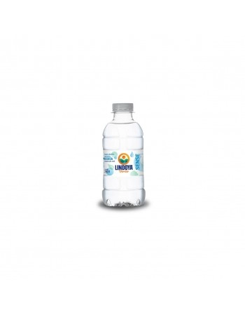 AGUA LINDOYA NAT SENSE 12X240ML